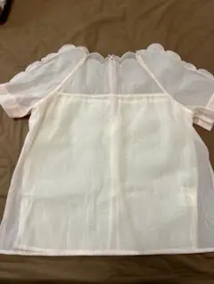 チェスティトップス　オレンジ