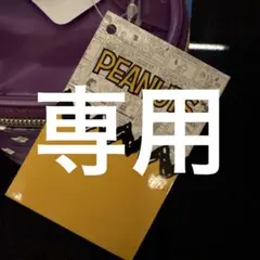 専用ページ