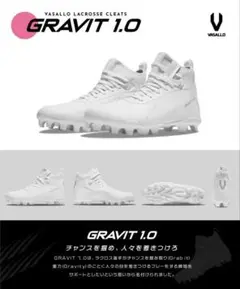 Item thumbnail for item f2148e5c-fc42-45fc-a2f2-f160d6f19f5d