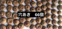 北海道　レッドオーク　どんぐり帽子　穴あき帽子　サイズ混合　66個