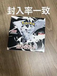 封入率一致　ポケモンカード ホワイトフレア　1BOX 20パック