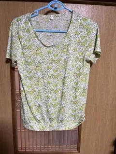 Item thumbnail for item e7acf12c-9d1a-4ed5-ac51-623177f4a68e