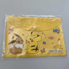 ポケットモンスター　ポケモン ピカチュウ イーブイ　A5スナップケース