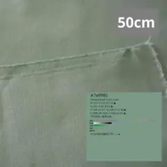 AG41【50cm】キャスキッドソン純正　無地　緑色