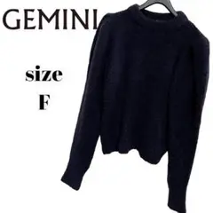 【完売・希少】ウィム ガゼット GEMINI ゲミニ 袖ボリュームプルオーバー