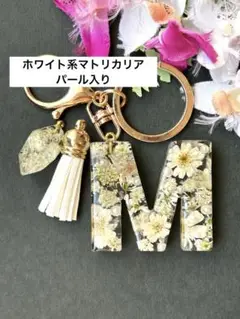 Item thumbnail for item ce8031e2-0f5d-4849-acf5-e3f3cb089326