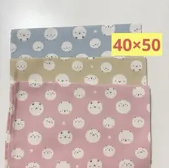 Item thumbnail for item 01cf8953-4491-41c1-aacd-4d47d63beb7d