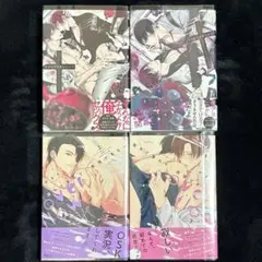 BL 新刊 メメントスカーレット 楔ケリ 溢れて零れて、我慢できない やまち