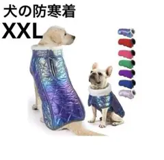 Item thumbnail for item f1a99fe6-f0a0-484d-8238-6a7d1faee35f