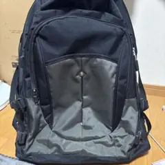 イナズマキャリー