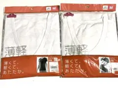 Item thumbnail for item 55011cc6-a530-4ac1-811e-c323951bb360