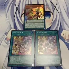 ドレミコード 新規セット