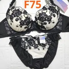 【新品未使用】格安！ブラショーツセット F75 944101 黒×白 フェミニン