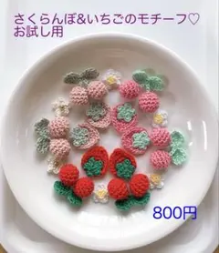さくらんぼ&いちごのモチーフ♡お試し用