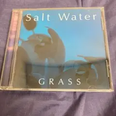 GRASS『Salt Water』藤井麻輝