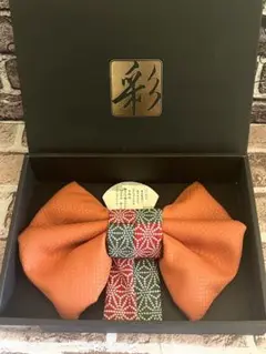 Item thumbnail for item 575815c1-7269-4f49-a251-84b396c4cd0b