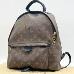 美品LOUIS VUITTON パームスプリングスPM リュックサック ブラウン