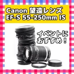 Item thumbnail for item ca4480bc-8c35-4afc-96c2-3f89eedc9165