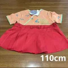 110cm かぐや姫