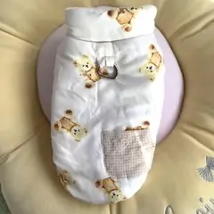 Item thumbnail for item 7b8cb03b-3261-4cc0-b4ea-a17fc0472423