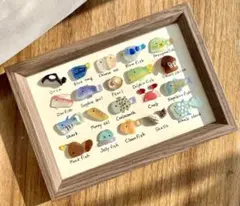 ミニチュア⭐︎20種類のお魚図鑑⭐︎シーグラスアート　ヒーリング　プレゼント　ギフト