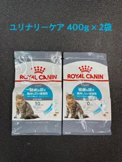 Item thumbnail for item bfca6d2d-f0c9-4cdd-a021-edb5ba14aac2