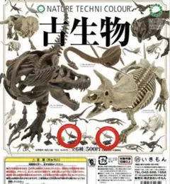 ネイチャーテクニカラー　古生物　恐竜　フタバスズキリュウ　2種