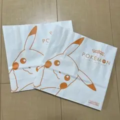 ポケモン紙袋　２枚セット