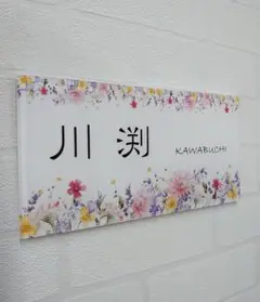 Item thumbnail for item 8d9b5e10-f580-4d56-970e-8f09bb30ae43