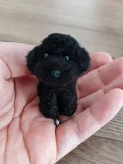 手乗りわんこ　トイプードル　全身