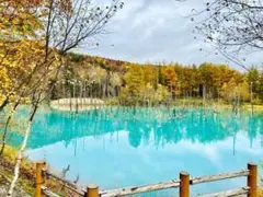 北海道観光 美瑛《青い池》お土産セット ポストカード付