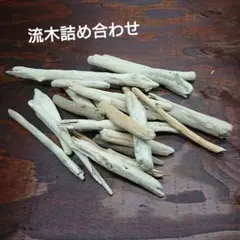 Item thumbnail for item dd5277b2-4bdb-4b3a-9e04-a10b1bf8a1ef