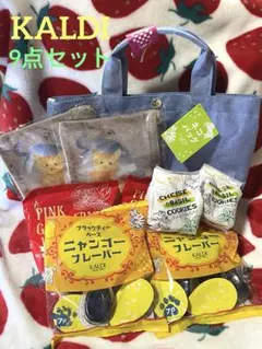 新品 KALDI カルディ ネコバッグ 2025年 9点セット