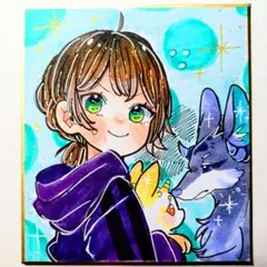 ☆手描きイラスト色紙 №1634