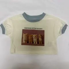 プリントTシャツ 猫 ミニ丈 ベビー服 80