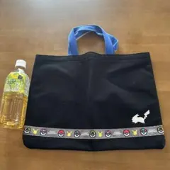 ポケモンレッスンバック