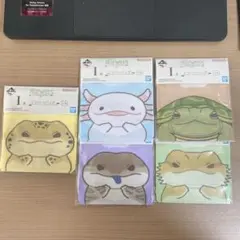 爬虫類&両生類　一番くじvol.2 ジッパーバッグ5種セット