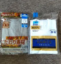 Item thumbnail for item a1233270-aa52-469e-8006-3043c0419e41