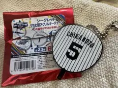 近本光司 阪神タイガース マイナビオールスター2025 アクリルキーチェーン