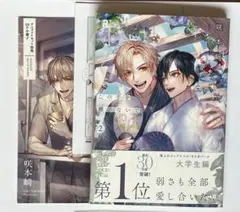 【中古ショップ購入品・初版】　この手を離さないで　2巻　BLコミック
