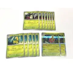 ポケモンカード メガニウム チコリータ ベイリーフ 進化