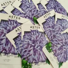 ヴィンテージ シードパケット 12枚 ASTER BLUE GEM