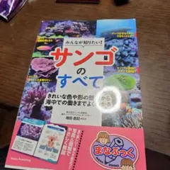 みんなが知りたい! サンゴのすべて きれいな色や形の魅力から海中での働きまでよ…