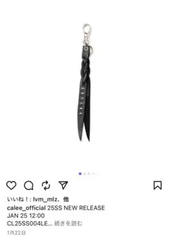 Item thumbnail for item c1be6e8a-412f-43a7-a7c8-99d5f6ef27cb