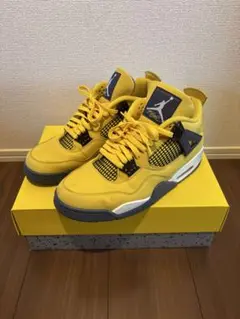 Air Jordan 4 Retro