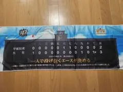 甲子園冷感クールタオル+100周年クリアファイル