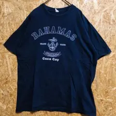 【L】GILDAN(ギルダン) グラフィック Ｔシャツ 紺・ネイビー 366