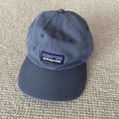 パタゴニア P6 ラベル トラッドキャップ DLMB