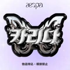 aespa カリナ　ネームボード
