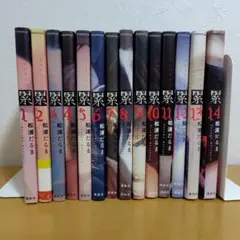 累(かさね) 全14巻セット　松浦だるま　良品